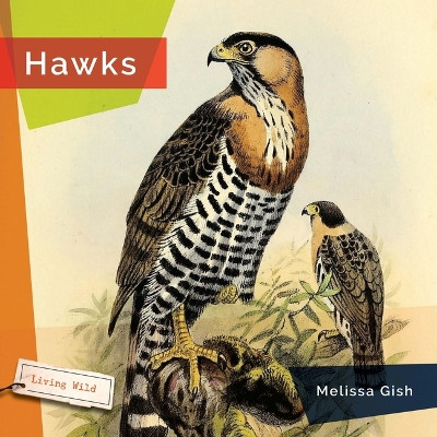 Hawks by Melissa Gish 9781682773352