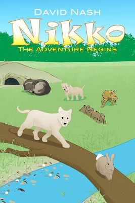 Nikko: The Adventure Begins by David Nash 9781480994829