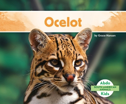 Ocelot by Grace Hansen 9781098261832