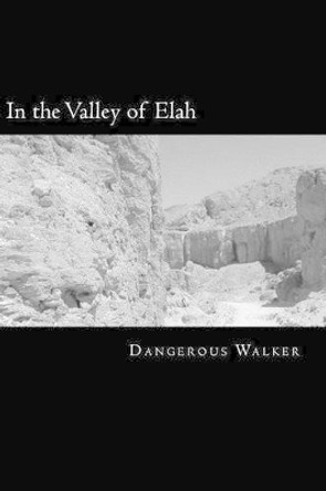 In the Valley of Elah by Dangerous Walker 9781522981503