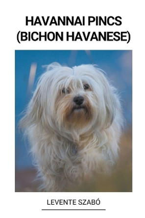 Havannai Pincs (Bichon Havanese) by Levente Szabó 9798215686843