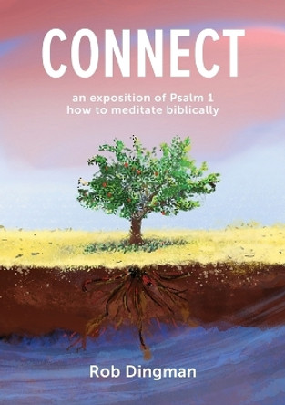 Connect by Rob Dingman 9780957132955