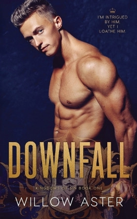 Downfall by Wander Aguiar 9781733513715