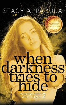 When Darkness Tries to Hide by Stacy A Padula 9781733153669