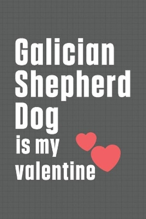 Galician Shepherd Dog is my valentine: For Galician Shepherd Dog Fans by Wowpooch Press 9798607455873
