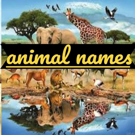 Animal names: Types of animals by Zitaou Mhand 9798677628849