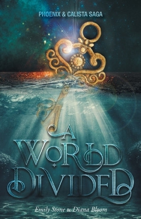 A World Divided by Emily Stone 9781039149649