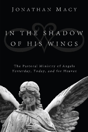 In the Shadow of His Wings by Jonathan Macy 9781498213073