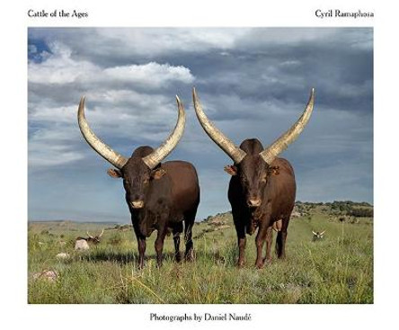 Cattle of the Ages: Ankole cattle in South Africa by Daniel Naude