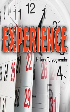 Experience by MR Hillary Turyagyenda 9781544757346