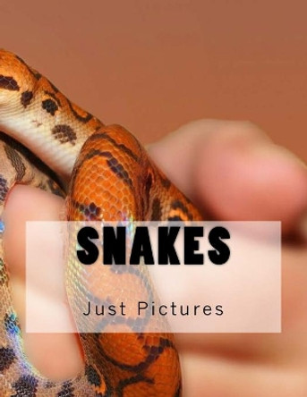 Snakes by Just Pictures 9781546601081