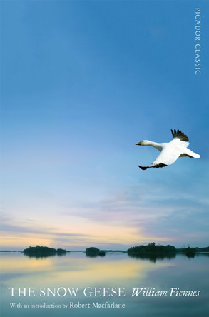 The Snow Geese by William Fiennes