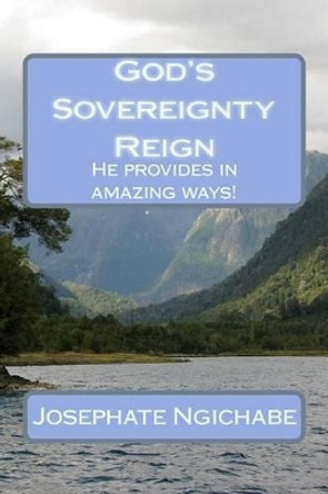 God's Sovereignty Reign: He provides in amazing ways! by Paula Cooks 9781518728600