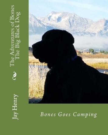 The Adventures of Bones-The Big Black Dog: Bones Goes Camping by Motoko Chiba 9781518668005