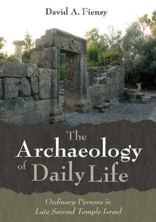 The Archaeology of Daily Life by David a Fiensy 9781532673085