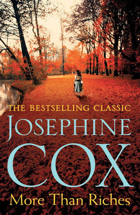 More than Riches: Love, longing and rash decisions Josephine Cox 9781472245717