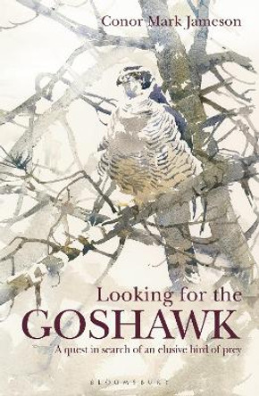 Looking for the Goshawk by Conor Mark Jameson