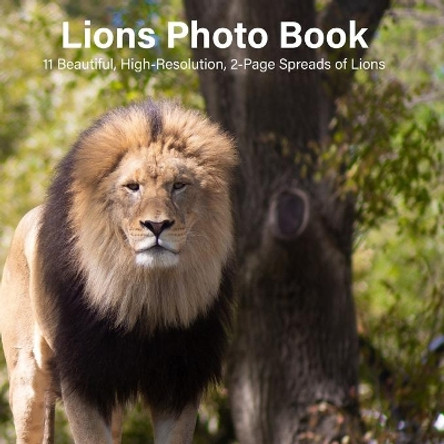 Lions Photo Book: 14 Beautiful, High-Resolution, 2-Page Spreads of Lions by Shalone Cason 9798682594856