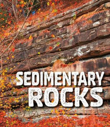 Sedimentary Rocks by Ava Sawyer
