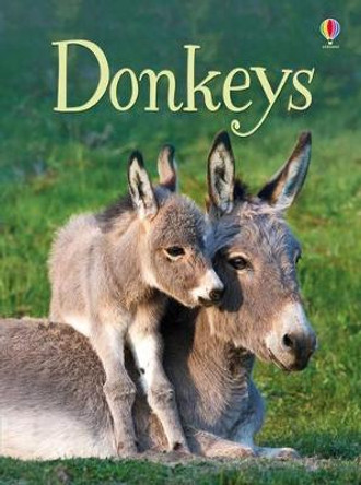 Beginners Donkeys by James Maclaine