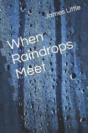 When Raindrops Meet by James Little 9798713837181