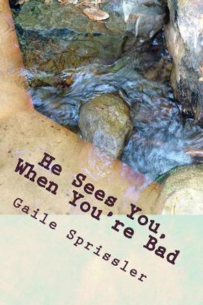 He Sees You, When You're Bad by Gaile Sprissler 9781534741706