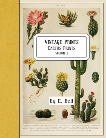 Vintage Prints: Cactus Prints by E Bell 9781986191944