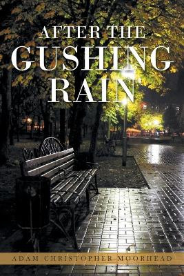 After the Gushing Rain by Adam Christopher Moorhead 9781959182900