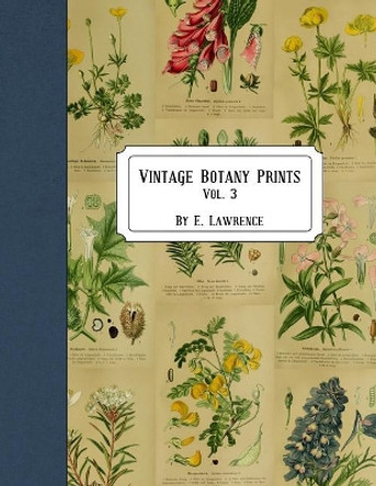 Vintage Botany Prints: Vol. 3 by E Lawrence 9781721276882