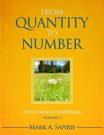 From Quantity To Number: A first course in mathematics by Marie Sapirie 9781735189000