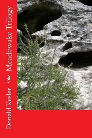 Meadowake Trilogy: The loss of the kingdom of Meadowake and the fight to regain the kingdom by Donald C Kesler 9781494977832