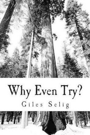 Why Even Try?: What Difference is it Going to Make by Giles Selig 9781499654646