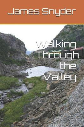 Walking Through the Valley by James L Snyder 9798613507511