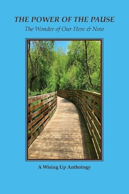 The Power of the Pause: The Wonder of Our Here & Now by Heather Tosteson 9781737694045