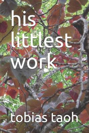 his littlest work by Tobias Taoh 9781727167276