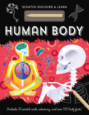 Human Body by Amanda Shufflebotham 9781801051347