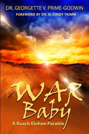 WAR Baby: A Ruach Elohim Parable by Georgette V Prime-Godwin 9781942871347