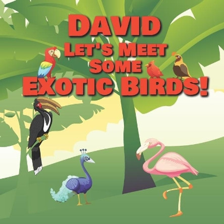 David Let's Meet Some Exotic Birds!: Personalized Kids Books with Name - Tropical & Rainforest Birds for Children Ages 1-3 by Chilkibo Publishing 9798561049620
