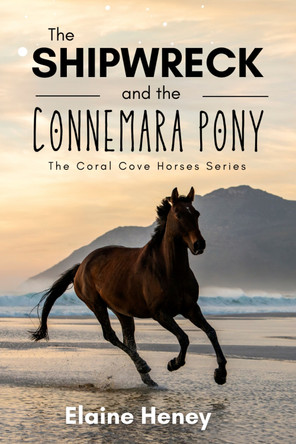 The Shipwreck and the Connemara Pony - The Coral Cove Horses Series by Elaine Heney 9781915542311