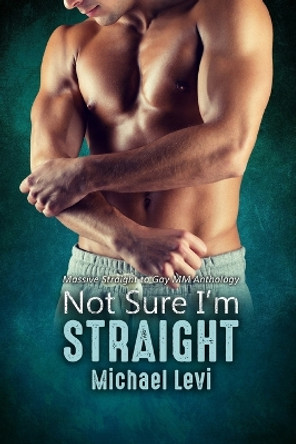 Not Sure I'm Straight: Massive Straight to Gay MM Anthology by Michael Levi 9798386895563