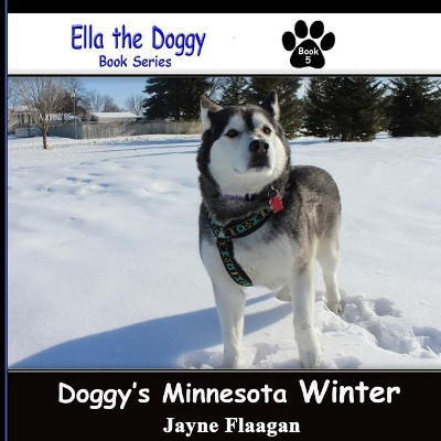 Doggy's Minnesota Winter by Jayne Flaagan 9781944410117