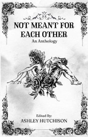 Not Meant for Each Other by Ashley Hutchison 9781735676982