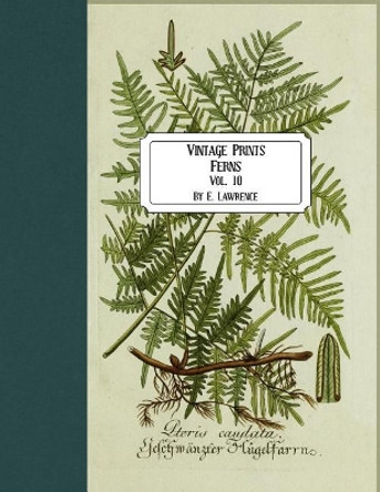 Vintage Prints: Ferns: Vol. 10 by E Lawrence 9781724938473