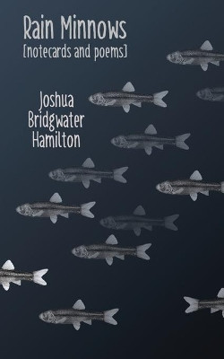 Rain Minnows by Joshua Bridgwater Hamilton 9781734049541