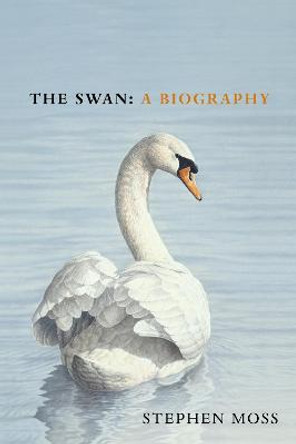 The Swan by Stephen Moss