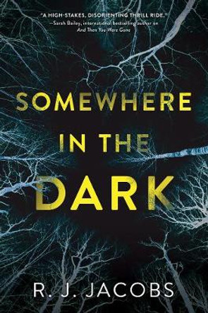 Somewhere In The Dark by R. J. Jacobs