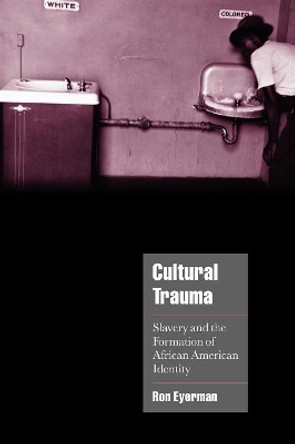 Cultural Trauma: Slavery and the Formation of African American Identity by Ron Eyerman 9780521004374
