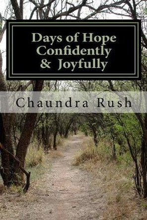 Days of Hope Confidently & Joyfully: A Healing Journey through Depression by Penelope Hughes 9781499132366