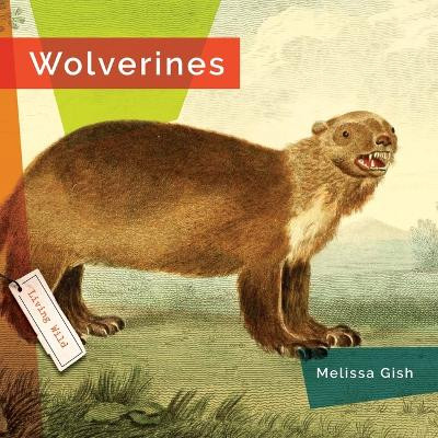 Wolverines by Melissa Gish 9781682773635