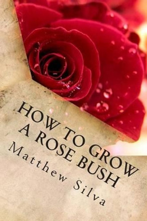 How To Grow A Rose Bush by Matthew Silva 9781496131485